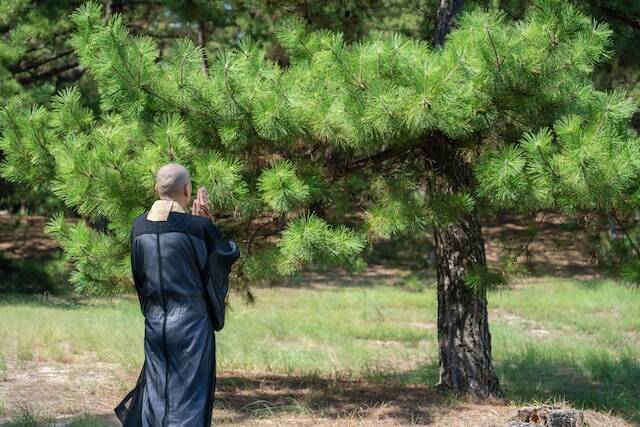 永代供養と他の供養方法との比較