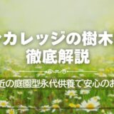 アンカレッジの樹木葬を徹底解説！都心駅近の庭園型永代供養で安心のお墓選び