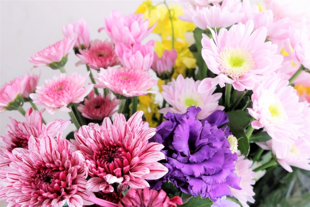 菊の花束