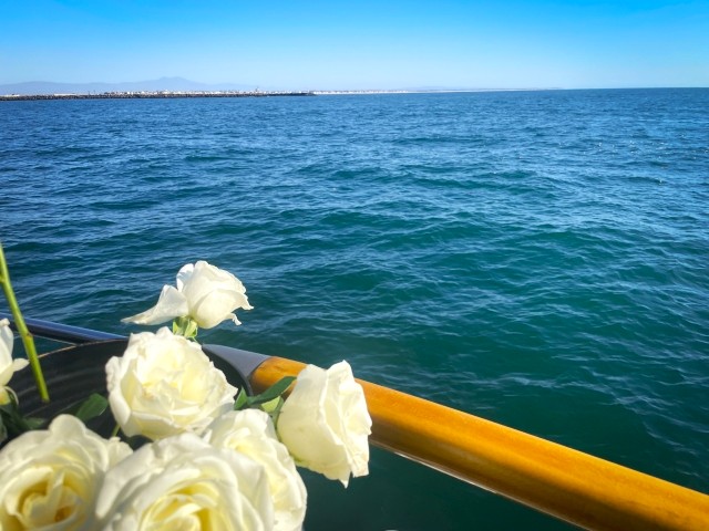 海洋散骨
